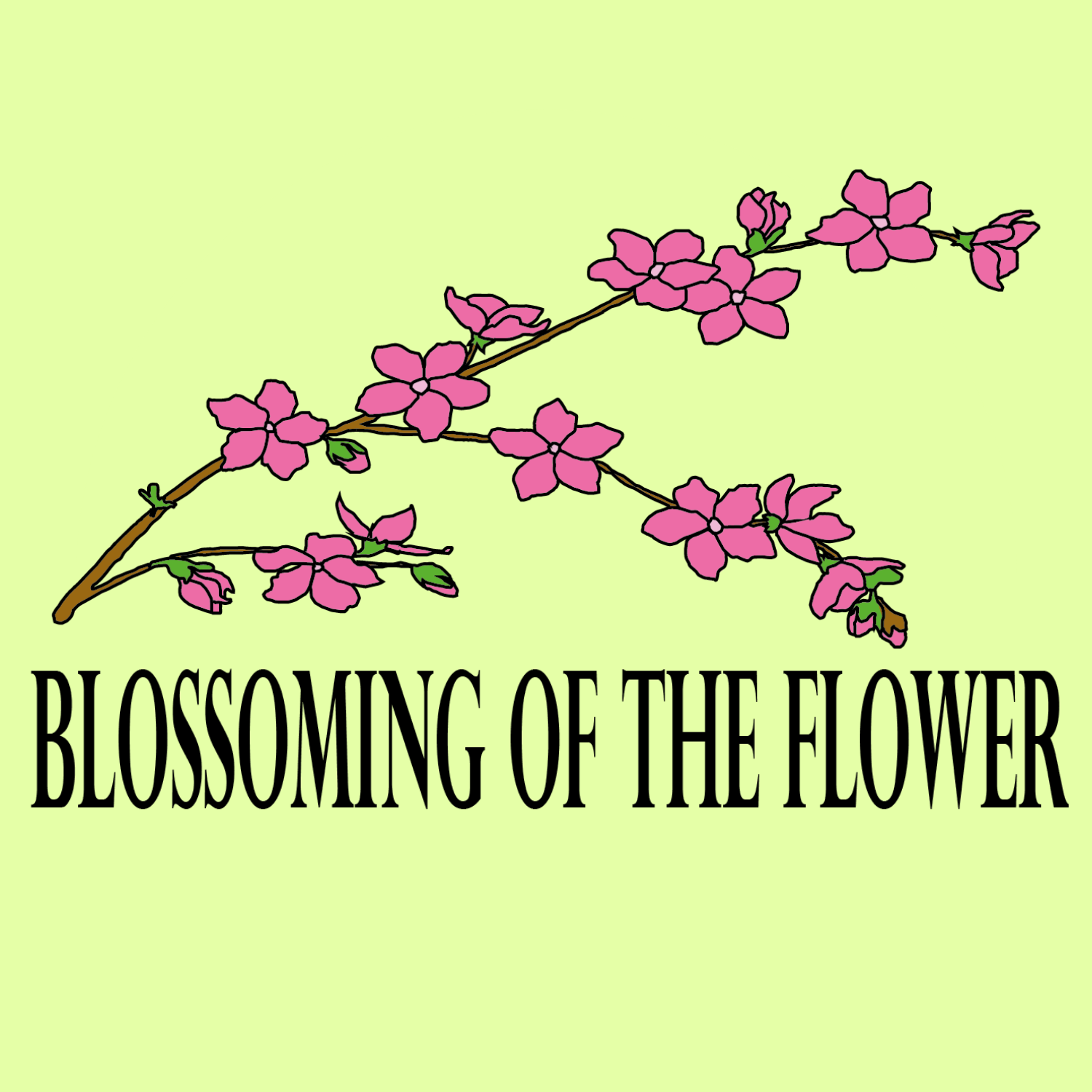 Blossoming of the Flower